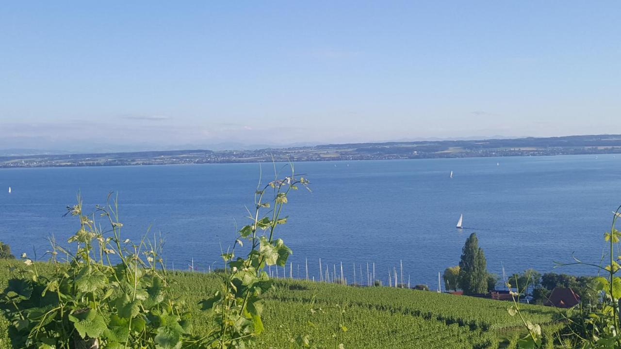 Studio Bodensee Daisendorf Kültér fotó